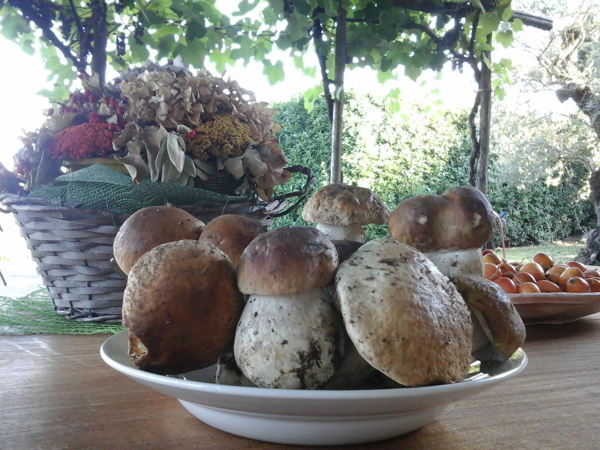 Bio&B Cascina Montebello Palazzago Dış mekan fotoğraf
